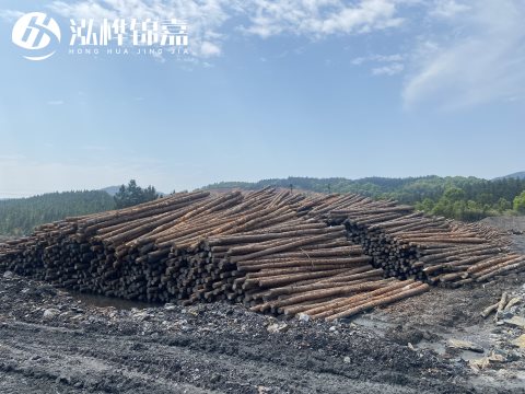 河道打樁為什么選擇松木樁來(lái)處理軟地基？-松木樁施工使用范圍